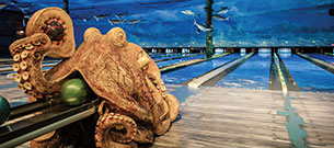 bowling-colorado-305x135 bowling-colorado-305x135