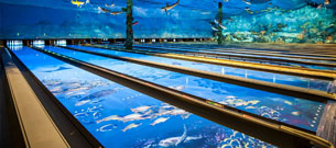 bowling-memphis-305x135 bowling-memphis-305x135