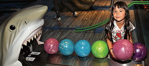 bowling-peoria-305x135